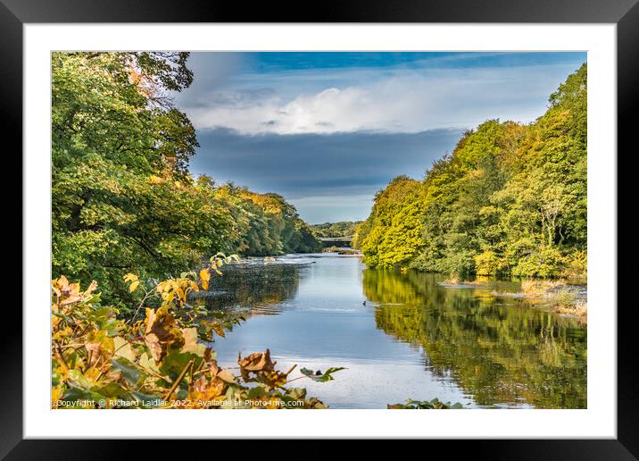 Autumn Tints at Wycliffe, Teesdale Framed Mounted Print by Richard Laidler