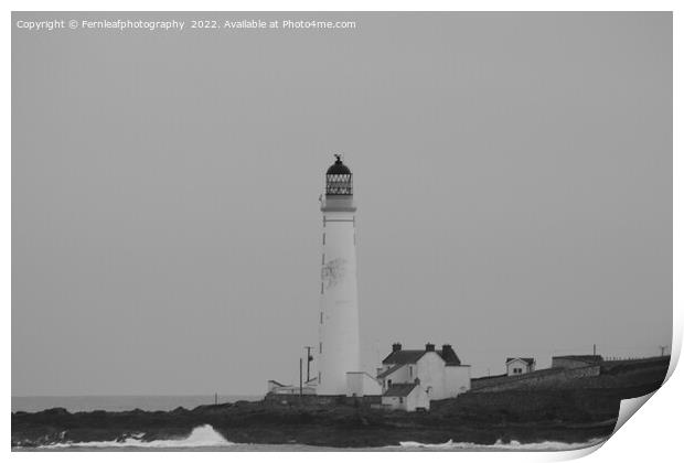 Black and white lighthouse Print by Fernleafphotography 