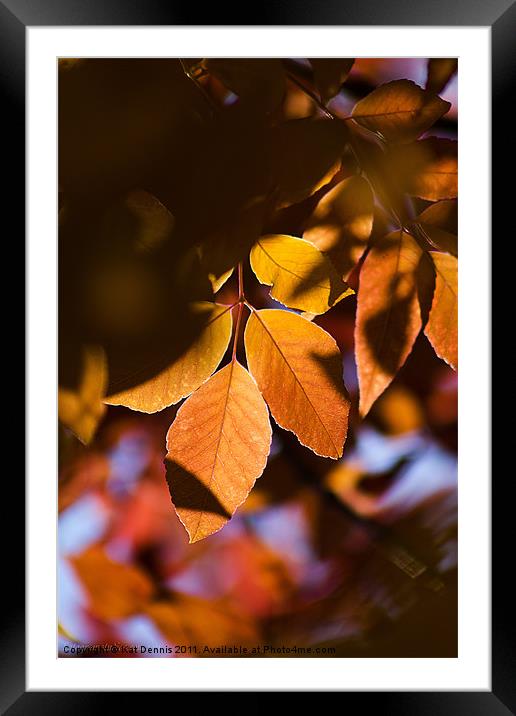 Autumn Leaves Framed Mounted Print by Kat Dennis