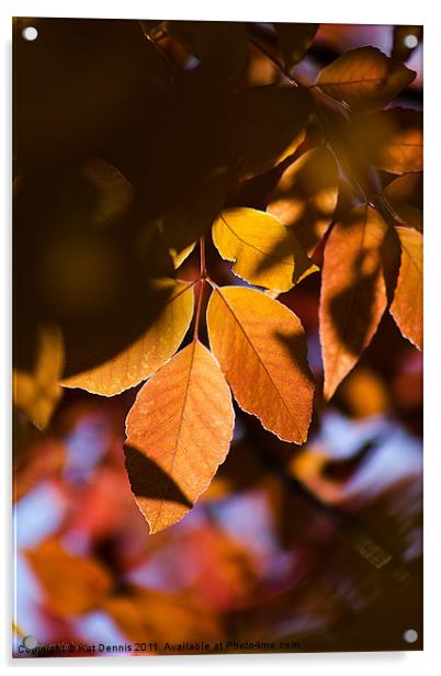 Autumn Leaves Acrylic by Kat Dennis