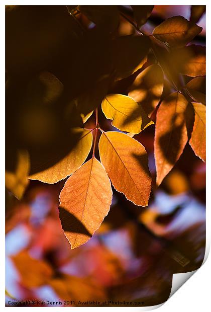 Autumn Leaves Print by Kat Dennis
