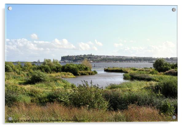 Cardiff Bay Wetlands Nature Reserve Acrylic by Kevin Round