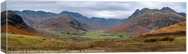 Langdale Pikes to Bowfell Canvas Print by Dominic Shaw-McIver