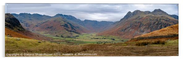 Langdale Pikes to Bowfell Acrylic by Dominic Shaw-McIver