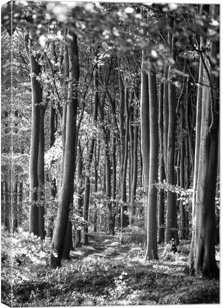 sunlight through the trees Canvas Print by Simon Johnson