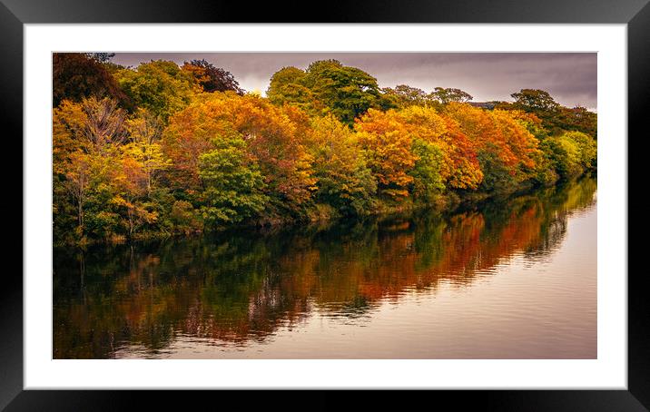 Majestic Autumn Landscape Framed Mounted Print by DAVID FRANCIS