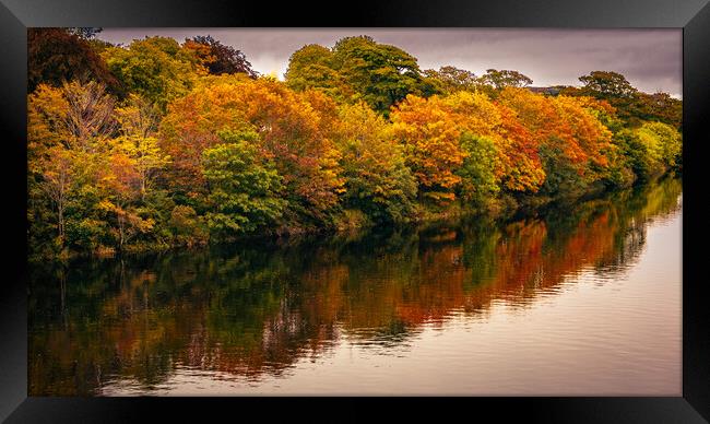 Majestic Autumn Landscape Framed Print by DAVID FRANCIS