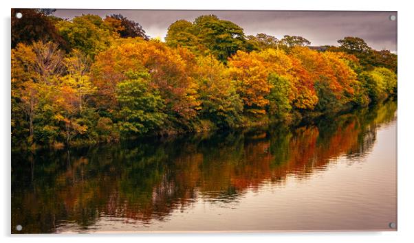 Majestic Autumn Landscape Acrylic by DAVID FRANCIS