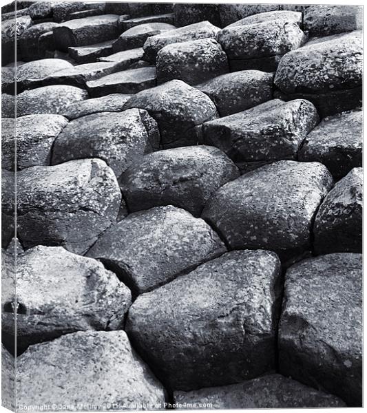 The Giant's Causeway, Northern Ireland Canvas Print by Jane McIlroy