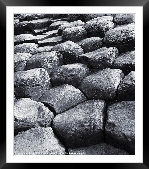 The Giant's Causeway, Northern Ireland Framed Mounted Print by Jane McIlroy