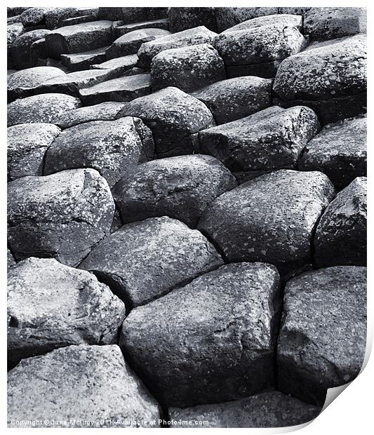 The Giant's Causeway, Northern Ireland Print by Jane McIlroy