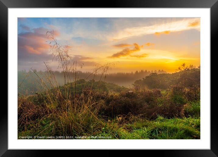 Misty Morning Sunrise Framed Mounted Print by David Lewins (LRPS)