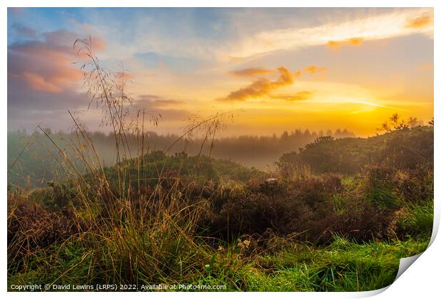 Misty Morning Sunrise Print by David Lewins (LRPS)