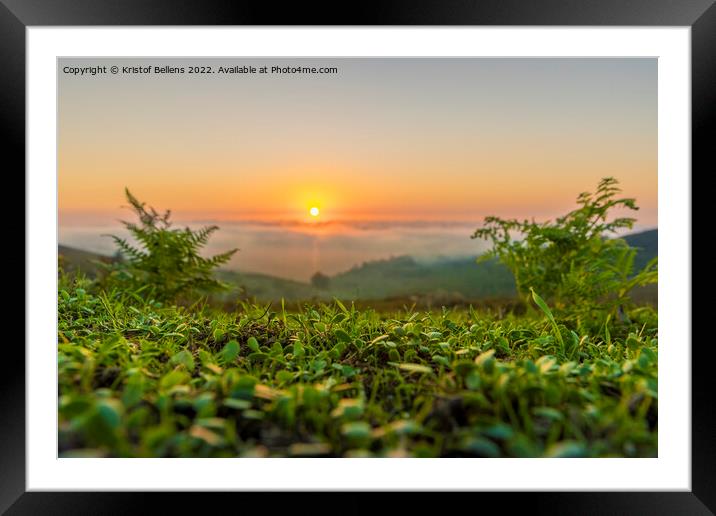 Bright low angle nature shot of a sunset in the mountains. Green grass in focus in foreground, and defocused background. Framed Mounted Print by Kristof Bellens