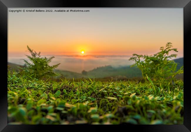 Bright low angle nature shot of a sunset in the mountains. Green grass in focus in foreground, and defocused background. Framed Print by Kristof Bellens