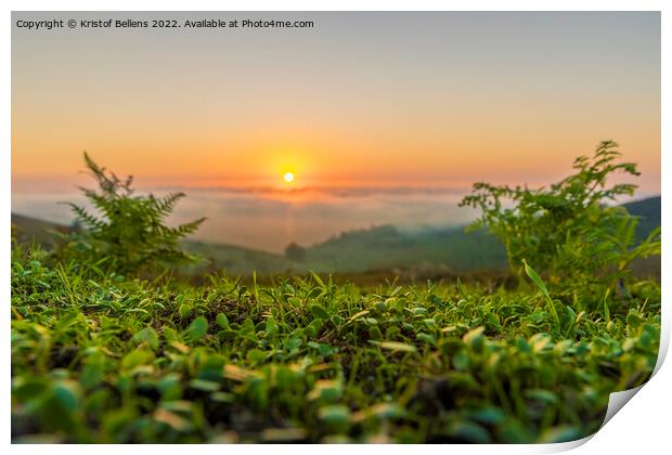 Bright low angle nature shot of a sunset in the mountains. Green grass in focus in foreground, and defocused background. Print by Kristof Bellens