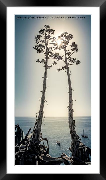 Two Agave salmiana vertical floral stem with muted toning Framed Mounted Print by Kristof Bellens