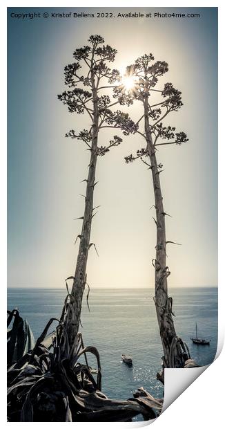Two Agave salmiana vertical floral stem with muted toning Print by Kristof Bellens