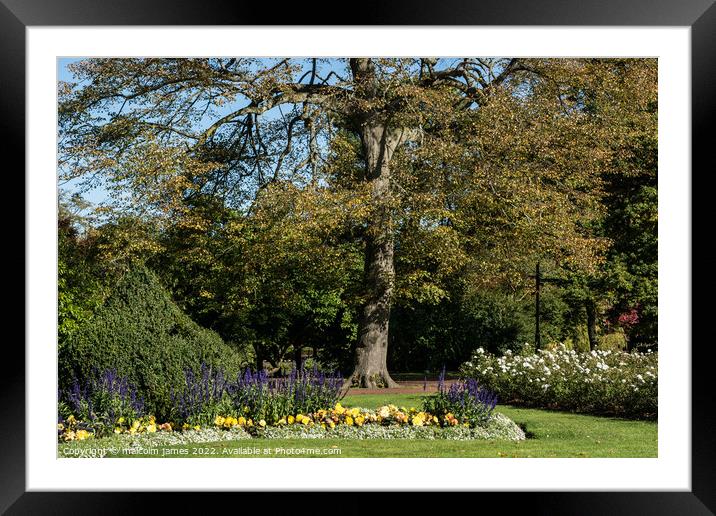 west park garden Framed Mounted Print by malcolm james
