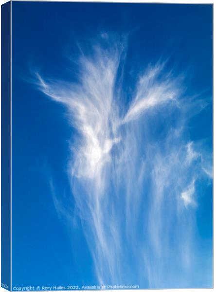 Cirrus clouds against a deep blue sky Canvas Print by Rory Hailes