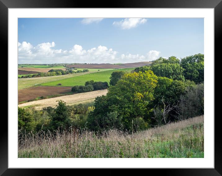 Devon countryside at Bideford Framed Mounted Print by Tony Twyman
