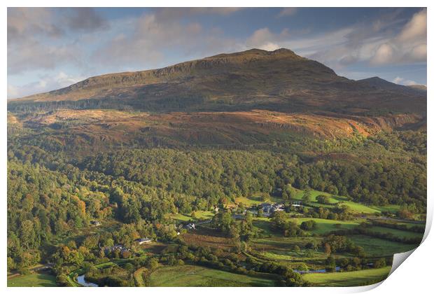 Oakley arms - Maentwrog Print by Rory Trappe