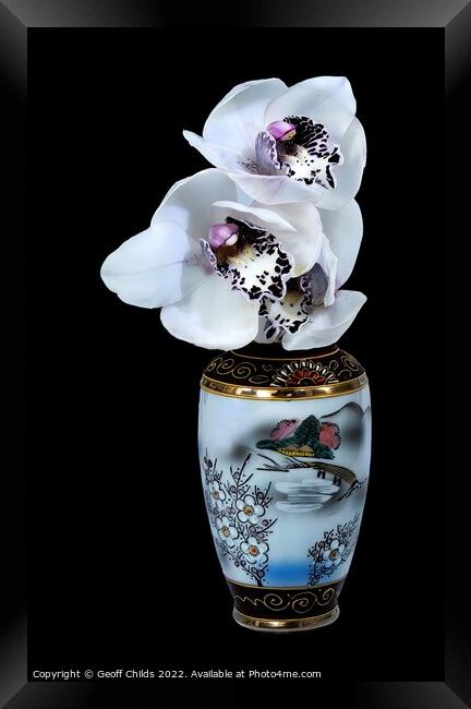  White Cymbidium Orchids in a vase on black. Framed Print by Geoff Childs