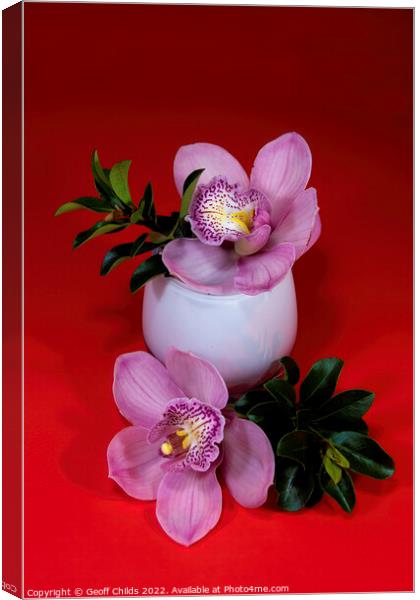 Pink Cymbidium orchid flower in a white glass vase isolated on r Canvas Print by Geoff Childs