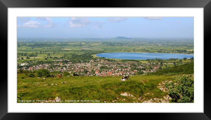 Cheddar village from above Framed Mounted Print by Timothy Large