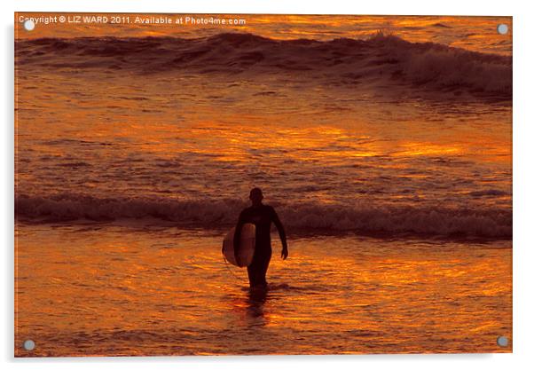 Sunset Surfing Acrylic by Liz Ward
