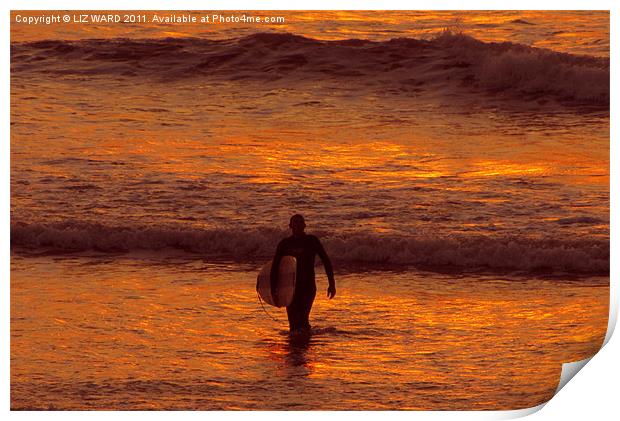 Sunset Surfing Print by Liz Ward