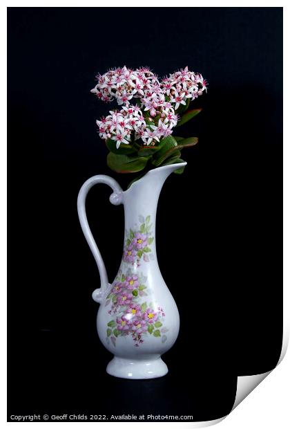  Jade Plant flowers in a vase on a black background.  Print by Geoff Childs