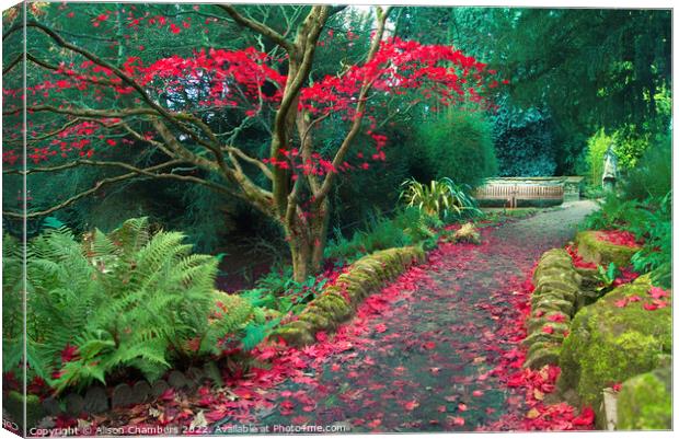 Red Autumn Canvas Print by Alison Chambers