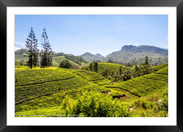 Tes plantations, Hatton, Sri Lanka Framed Mounted Print by Kevin Hellon