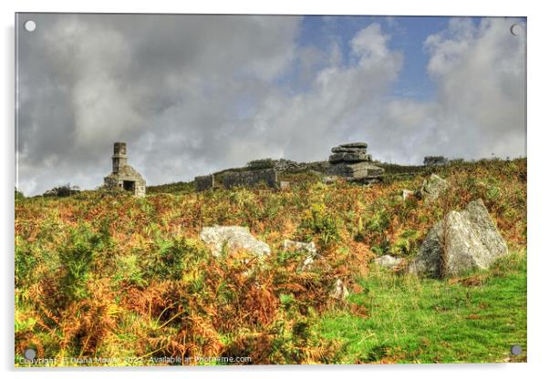 Bodmin moor Carbilly Tor and disused quarry works  Acrylic by Diana Mower