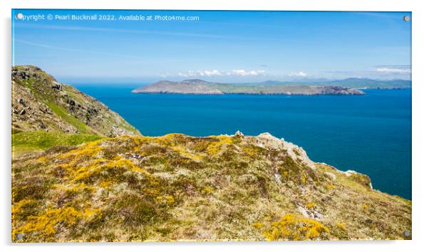 Llyn Peninsula from Bardsey Island Wales Pano Acrylic by Pearl Bucknall