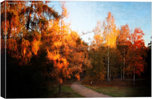 Autumn Impressions 2 Canvas Print by Taina Sohlman