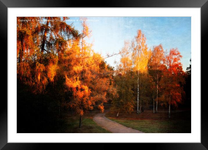 Autumn Impressions 2 Framed Mounted Print by Taina Sohlman