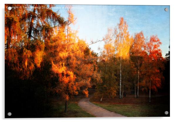 Autumn Impressions 2 Acrylic by Taina Sohlman