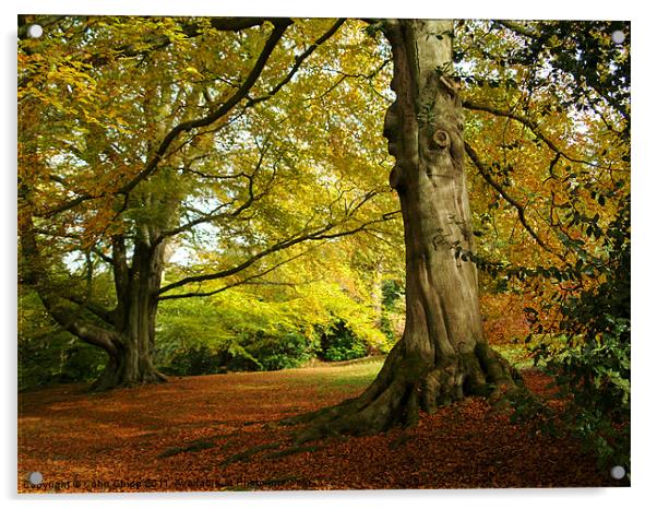 Chatsworth autumn Acrylic by Colin Chipp