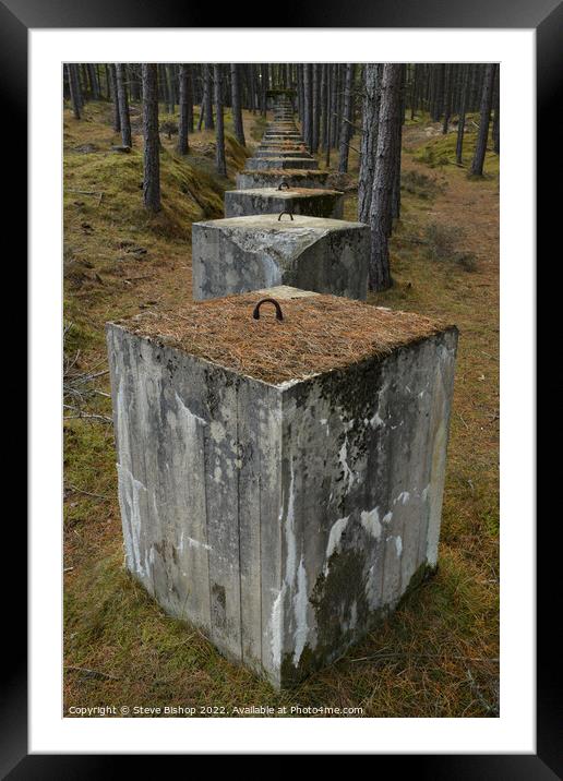 Lossiemouth Woods Tank Traps Framed Mounted Print by Steve Bishop