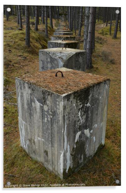 Lossiemouth Woods Tank Traps Acrylic by Steve Bishop