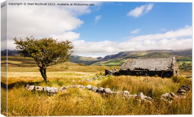 Cwm Pennant Valley Snowdonia Canvas Print by Pearl Bucknall