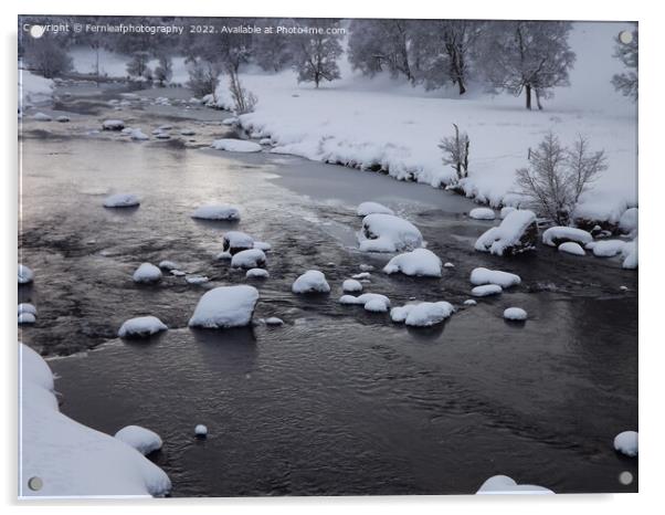 Frozen river Acrylic by Fernleafphotography 