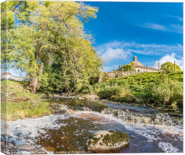 Ettersgill Beck and Dirt Pit Farm, Teesdale Canvas Print by Richard Laidler