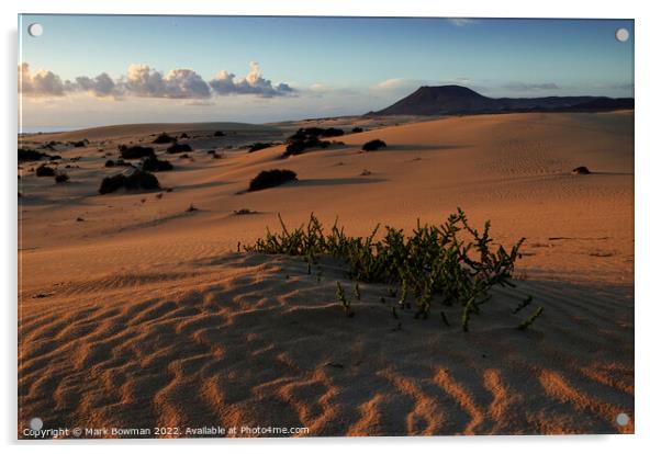 Desert Morning Acrylic by Mark Bowman