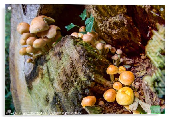 Fungi Tree House Acrylic by Julie Tattersfield