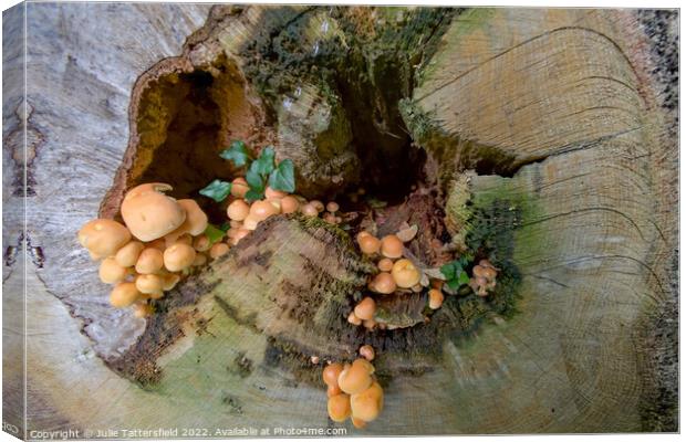 Mushroom treehouse Canvas Print by Julie Tattersfield