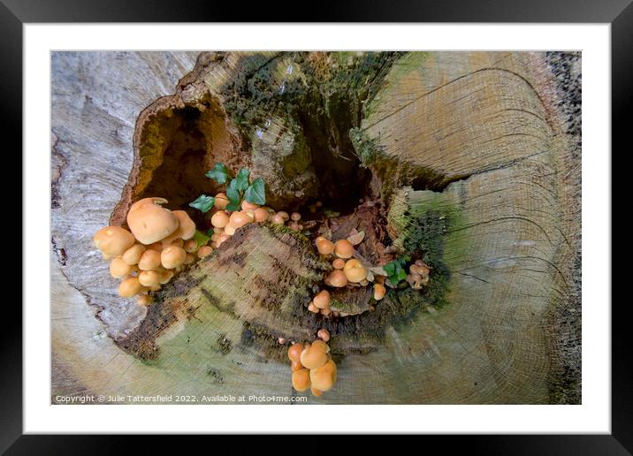 Mushroom treehouse Framed Mounted Print by Julie Tattersfield
