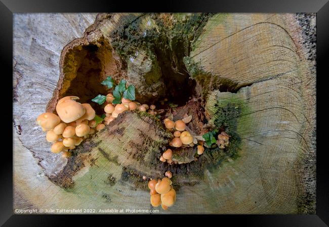 Mushroom treehouse Framed Print by Julie Tattersfield